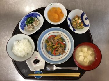 今日の夕食