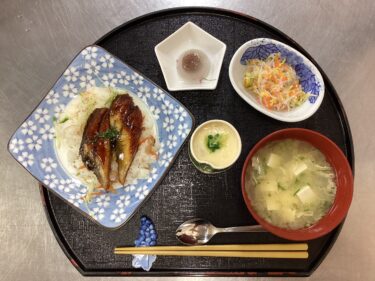 今日の昼食
