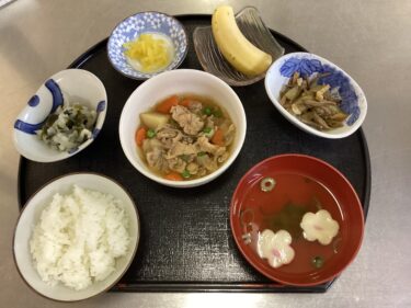 今日の昼食