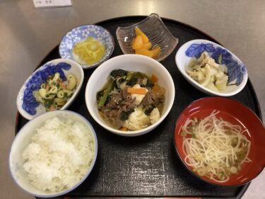 今日の昼食